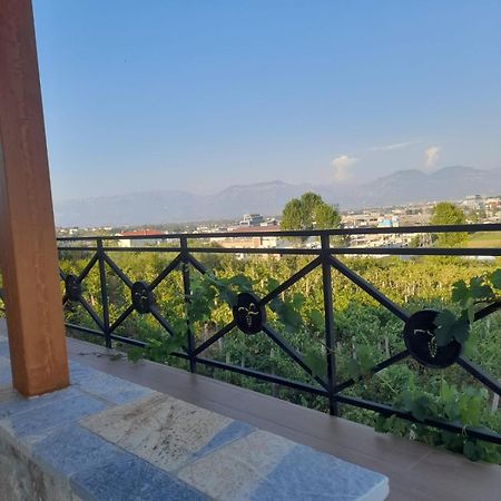 Vila Shehi Guesthouse And Winery Mucaj Exterior foto